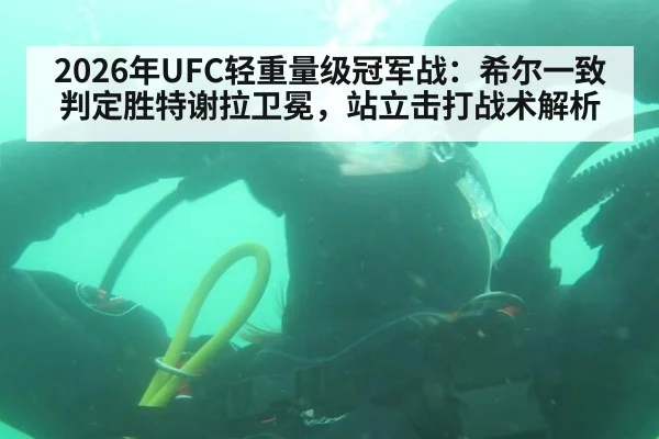 2026年UFC轻重量级冠军战:希尔一致判定胜特谢拉卫冕,站立击打战术解析